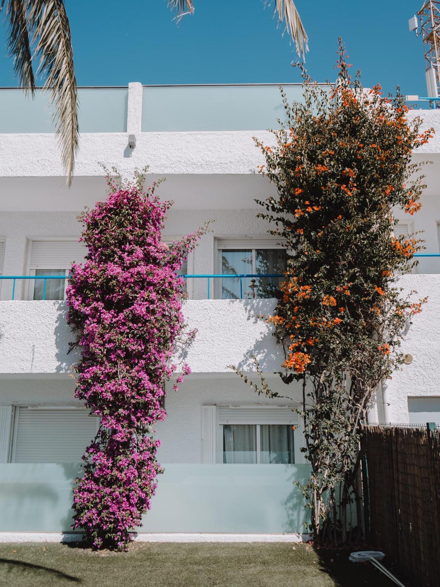 Hostal Las Gaviotas Del Cabo San Jose  Εξωτερικό φωτογραφία